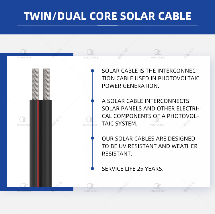 Auto Cable Twin Core(图2)